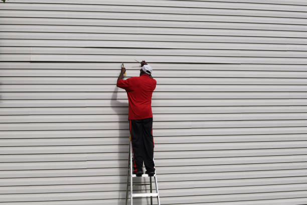Best Fascia and Soffit Installation  in Tarpon Springs, FL