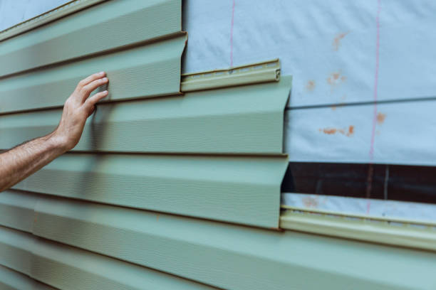 Best Steel Siding Installation  in Tarpon Springs, FL